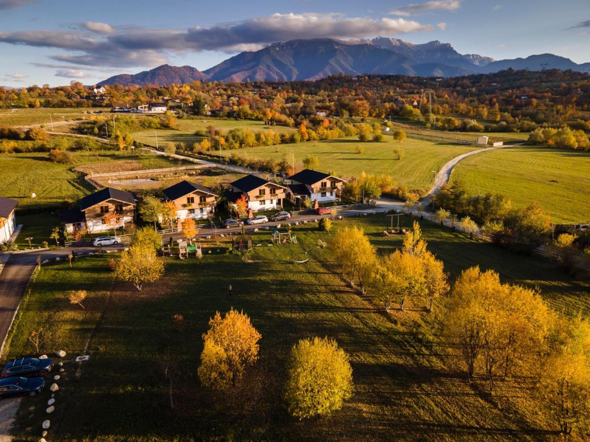 Green Resort Bran Törcsvár Kültér fotó