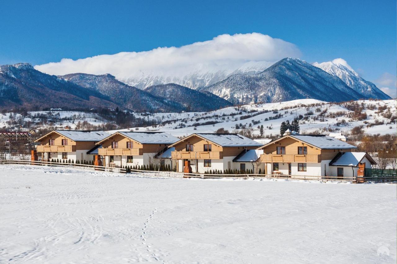 Green Resort Bran Törcsvár Kültér fotó