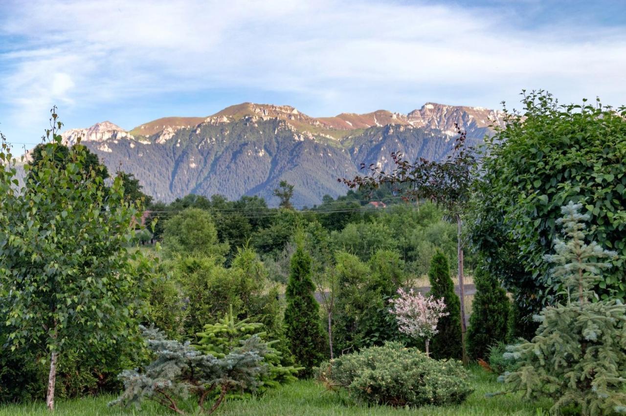 Green Resort Bran Törcsvár Kültér fotó