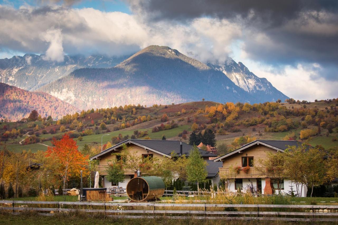 Green Resort Bran Törcsvár Kültér fotó